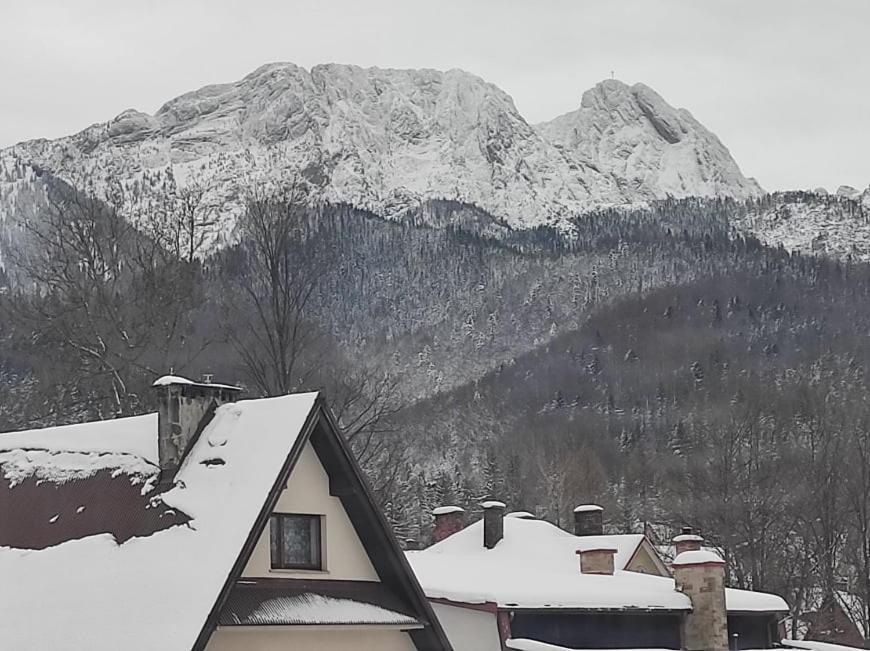 Appartement Arnika Wynajem Pokoi à Zakopane Extérieur photo