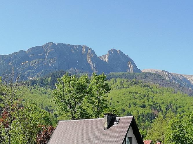 Appartement Arnika Wynajem Pokoi à Zakopane Extérieur photo