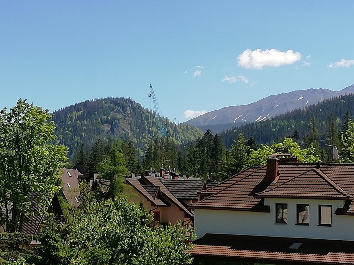 Appartement Arnika Wynajem Pokoi à Zakopane Extérieur photo